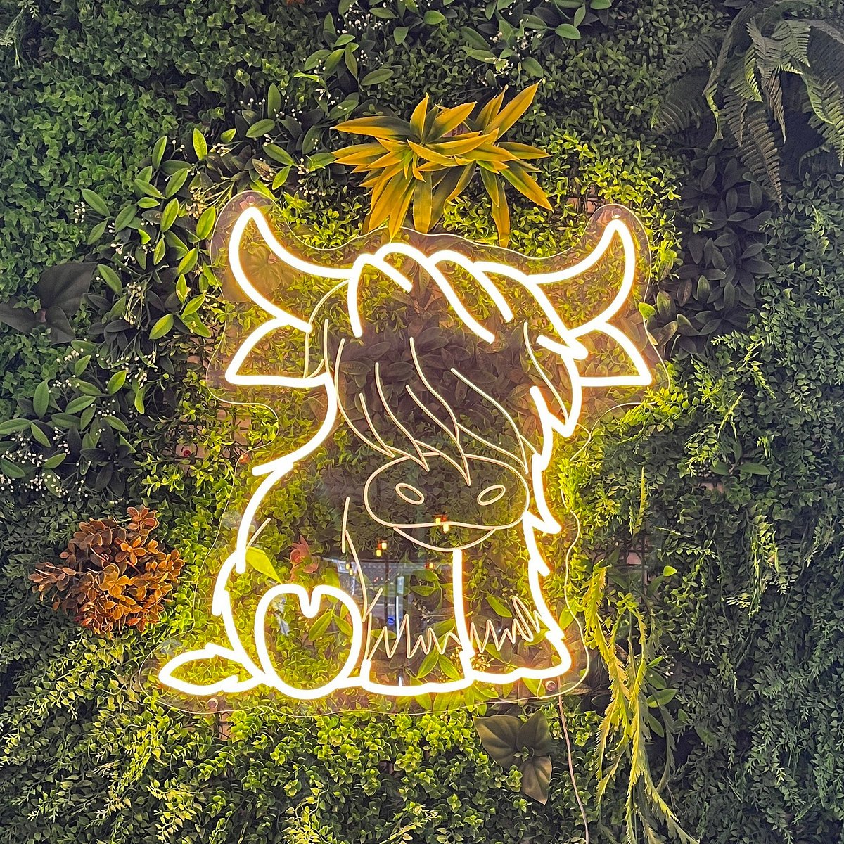 Inside The Coo Bakehouse